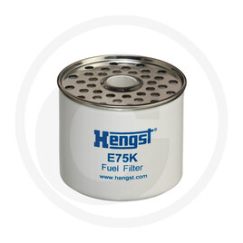 Hengst Filtre à carburant